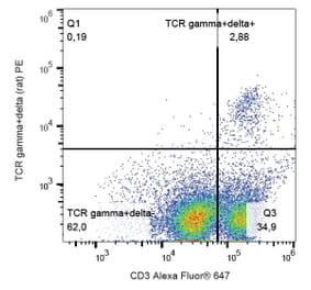 Flow Cytometry - Anti-TCR gamma + TCR delta Antibody [V65] (PE) (A86528)