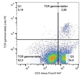 Flow Cytometry - Anti-TCR gamma + TCR delta Antibody [V65] (PE) (A86526) - Antibodies.com