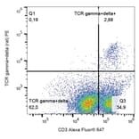 Flow Cytometry - Anti-TCR gamma + TCR delta Antibody [V65] (PE) (A86526) - Antibodies.com