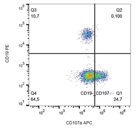 Flow Cytometry - Anti-CD107a Antibody [H4A3] (APC) (A86529) - Antibodies.com