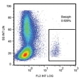 Flow Cytometry - Anti-LAMP1 Antibody [H4A3] (PE) (A86531)