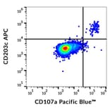 Flow Cytometry - Anti-CD203c Antibody [NP4D6] (APC) (A86532)
