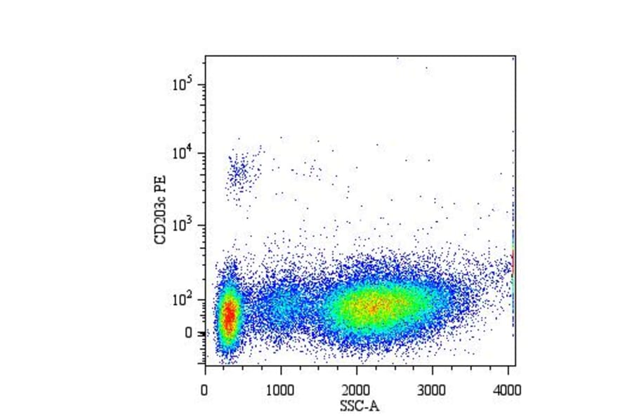 Flow Cytometry - Anti-CD203c Antibody [NP4D6] (PE) (A86534) - Antibodies.com