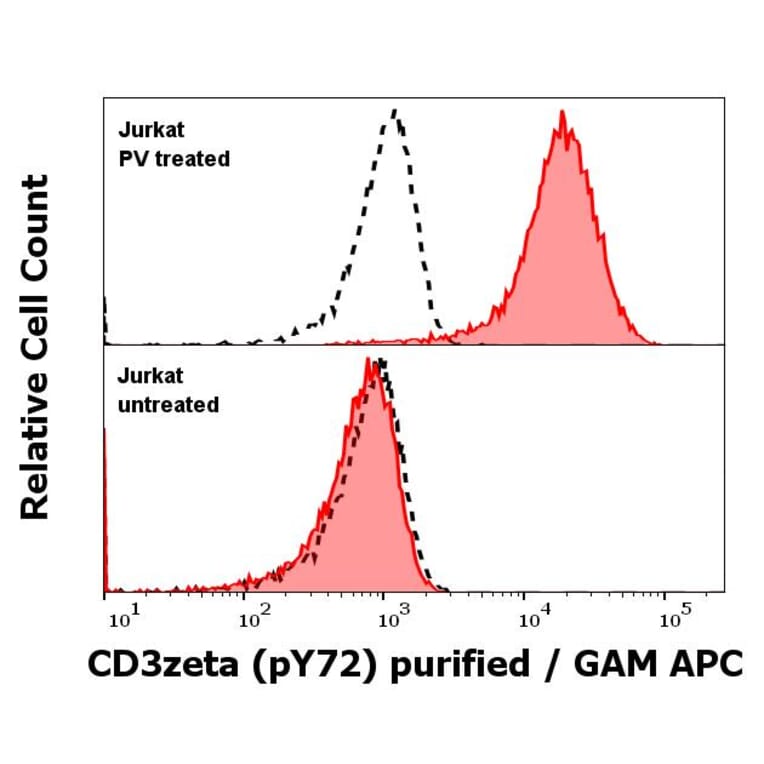 WB - Anti-CD3 zeta (phospho Y72) Antibody [EM-26] (A86536)