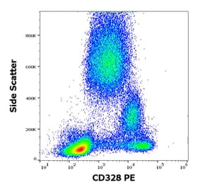 Flow Cytometry - Anti-Siglec 7 Antibody [6-434] (PE) (A86540)