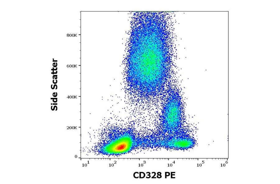 Flow Cytometry - Anti-Siglec 7 Antibody [6-434] (PE) (A86540)