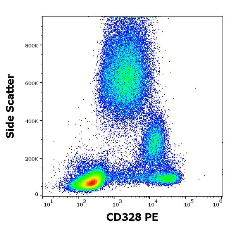 Flow Cytometry - Anti-Siglec 7 Antibody [6-434] (PE) (A86540)