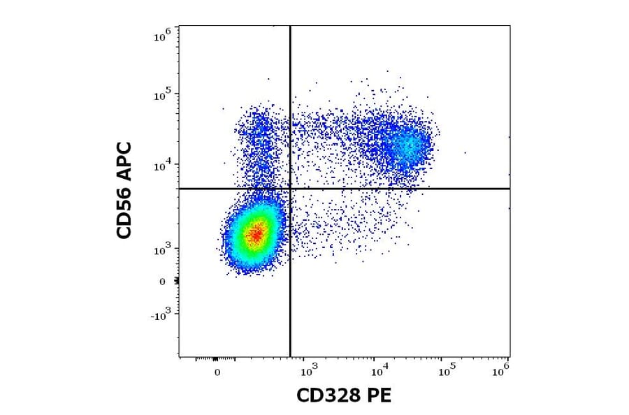 Flow Cytometry - Anti-Siglec 7 Antibody [6-434] (PE) (A86540)