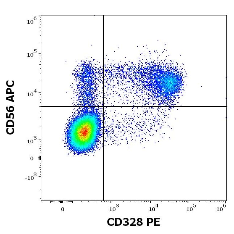 Flow Cytometry - Anti-Siglec 7 Antibody [6-434] (PE) (A86540)