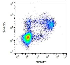 Flow Cytometry - Anti-CD328 Antibody [6-434] (PE) (A86539) - Antibodies.com
