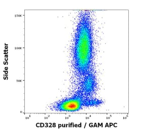 Flow Cytometry - Anti-Siglec 7 Antibody [6-434] (A86543)