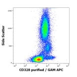 Flow Cytometry - Anti-Siglec 7 Antibody [6-434] (A86543)
