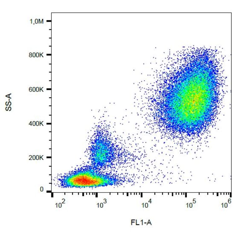 Flow Cytometry - Anti-CD65 Antibody [VIM8] (FITC) (A86544) - Antibodies.com