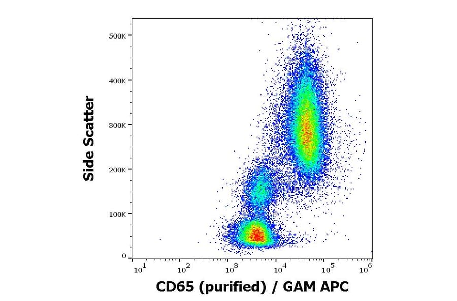Flow Cytometry - Anti-CD65 Antibody [VIM8] (A86547)