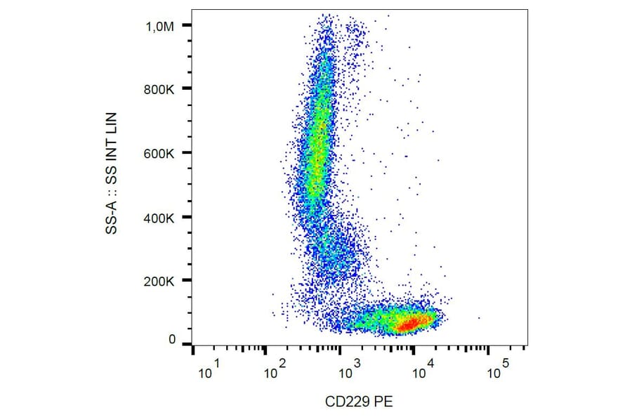 Flow Cytometry - Anti-CD229 Antibody [HLy9.25] (PE) (A86552)
