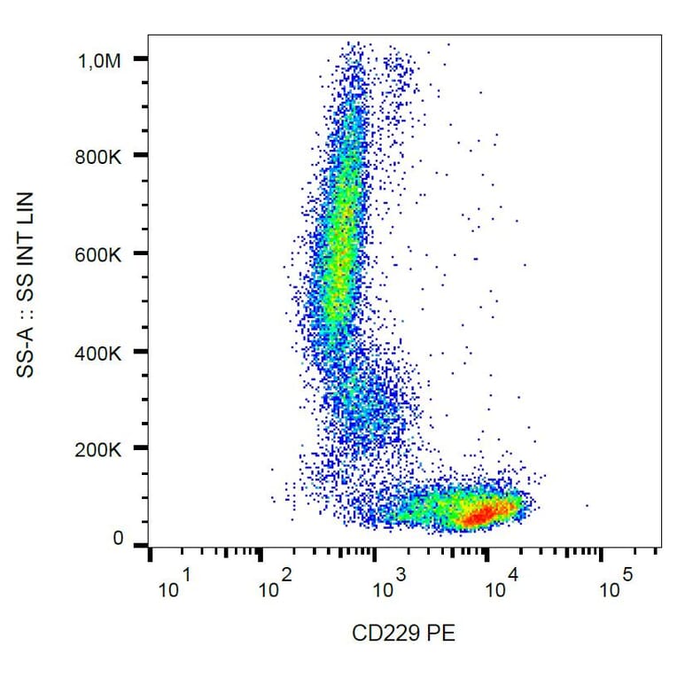 Flow Cytometry - Anti-CD229 Antibody [HLy9.25] (PE) (A86552)