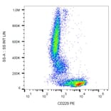 Flow Cytometry - Anti-CD229 Antibody [HLy9.25] (PE) (A86552)