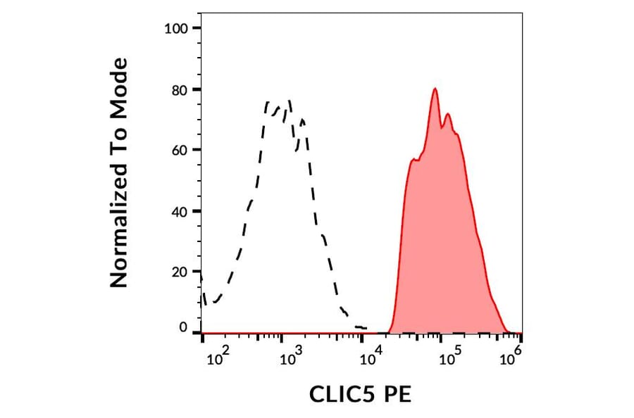 Flow Cytometry - Anti-CLIC5 Antibody [CLIC5-02] (PE) (A86553)