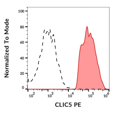 Flow Cytometry - Anti-CLIC5 Antibody [CLIC5-02] (PE) (A86553)