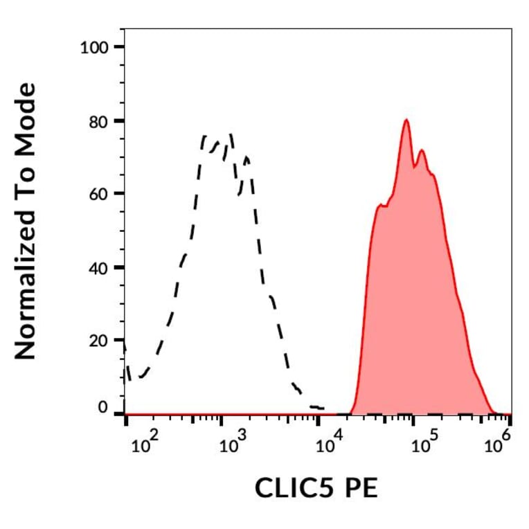 Flow Cytometry - Anti-CLIC5 Antibody [CLIC5-02] (PE) (A86553)