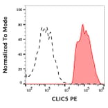 Flow Cytometry - Anti-CLIC5 Antibody [CLIC5-02] (PE) (A86553)