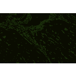 IHC - Anti-Vimentin Antibody [VI-RE/1] (A86554)