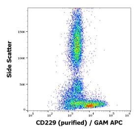 Flow Cytometry - Anti-CD229 Antibody [HLy9.25] (A86555)