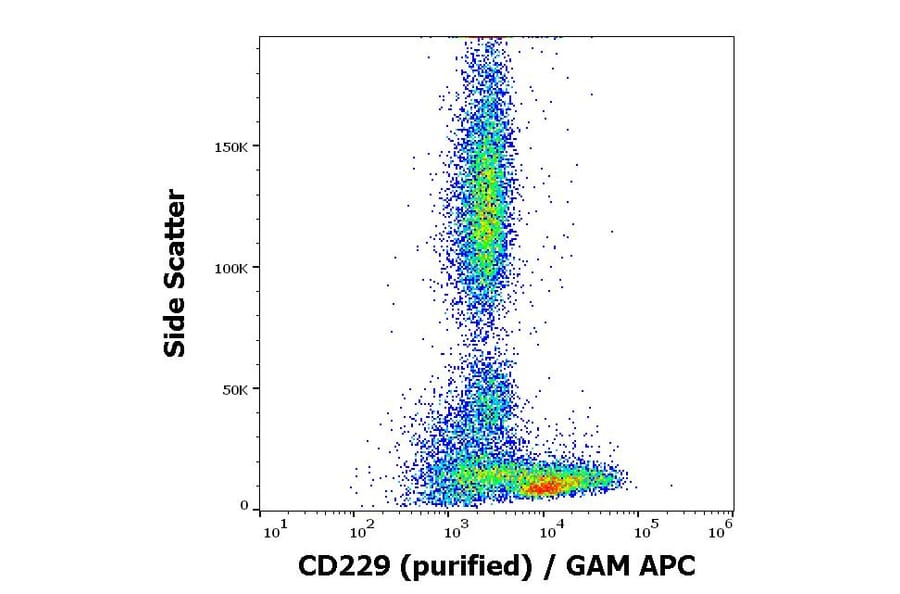 Flow Cytometry - Anti-CD229 Antibody [HLy9.25] (A86555)