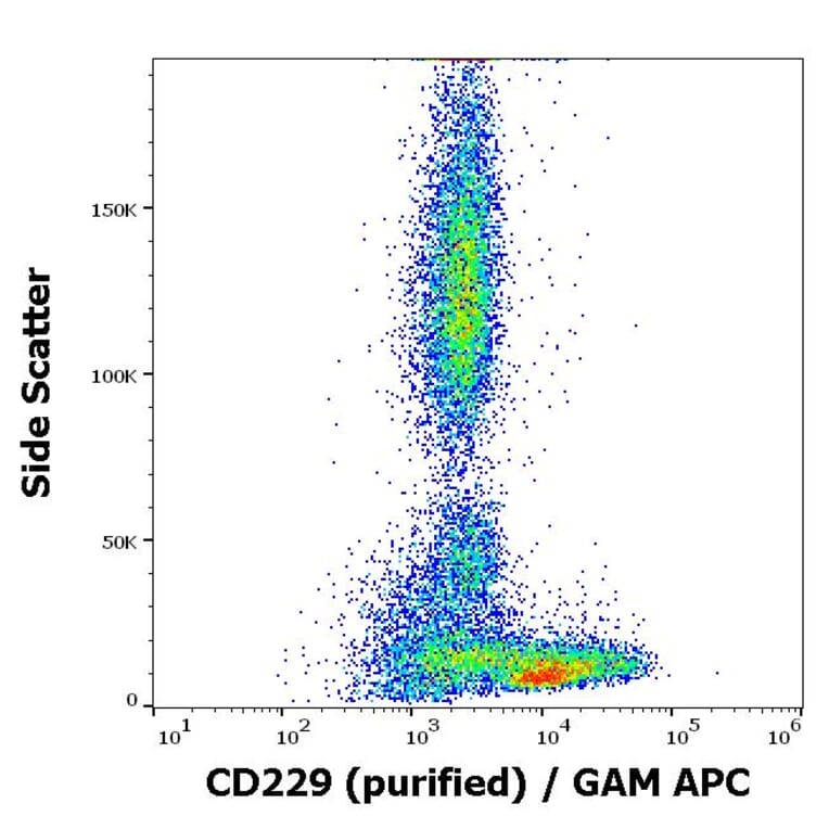 Flow Cytometry - Anti-CD229 Antibody [HLy9.25] (A86555)