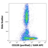 Flow Cytometry - Anti-CD229 Antibody [HLy9.25] (A86555)