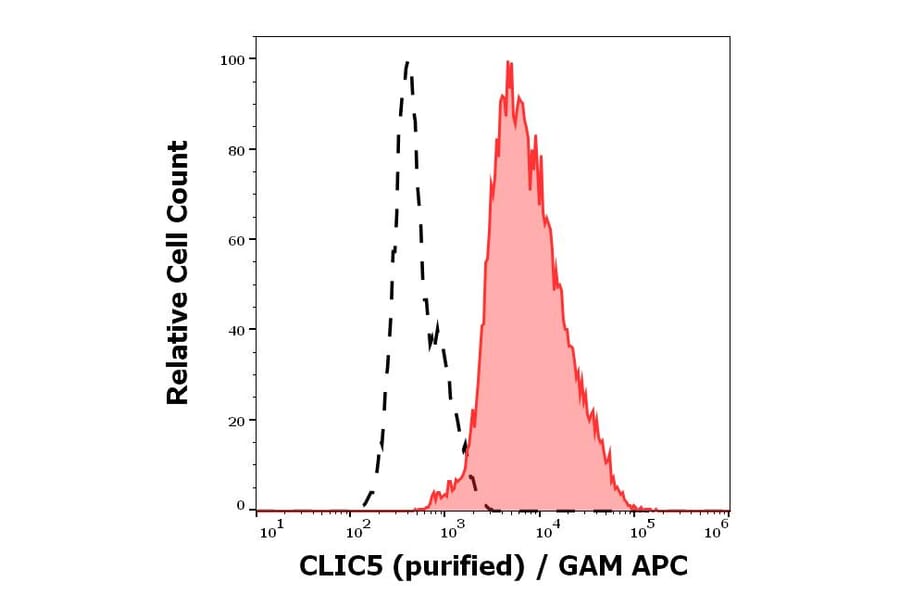 Flow Cytometry - Anti-CLIC5 Antibody [CLIC5-02] (A86556)