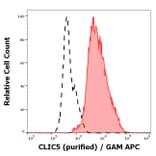 Flow Cytometry - Anti-CLIC5 Antibody [CLIC5-02] (A86556)