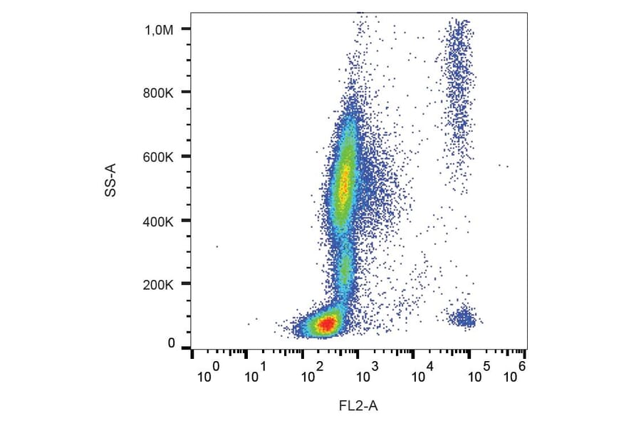 Flow Cytometry - Anti-CCR3 Antibody [5E8] (PE) (A86559)