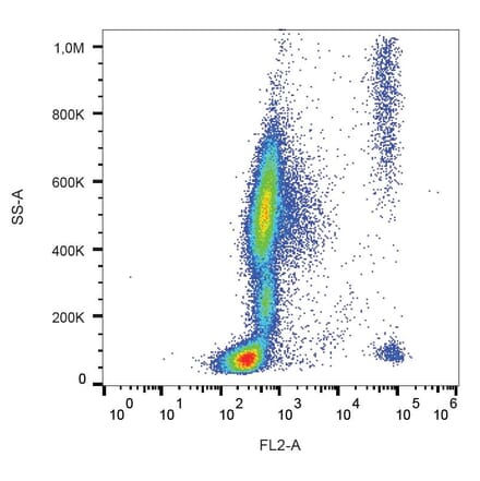 Flow Cytometry - Anti-CCR3 Antibody [5E8] (PE) (A86559)