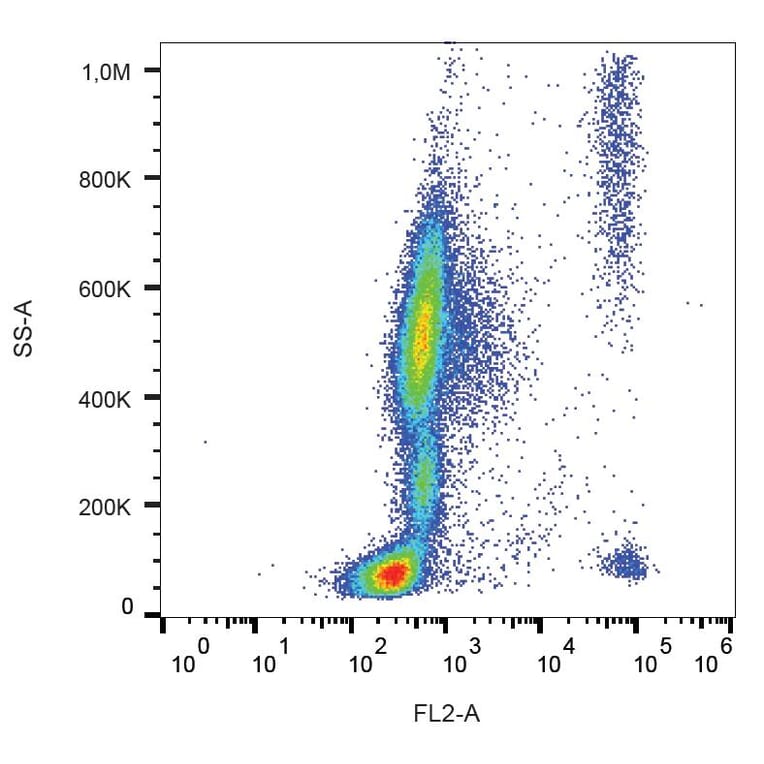 Flow Cytometry - Anti-CCR3 Antibody [5E8] (PE) (A86559)