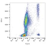 Flow Cytometry - Anti-CCR3 Antibody [5E8] (PE) (A86559)