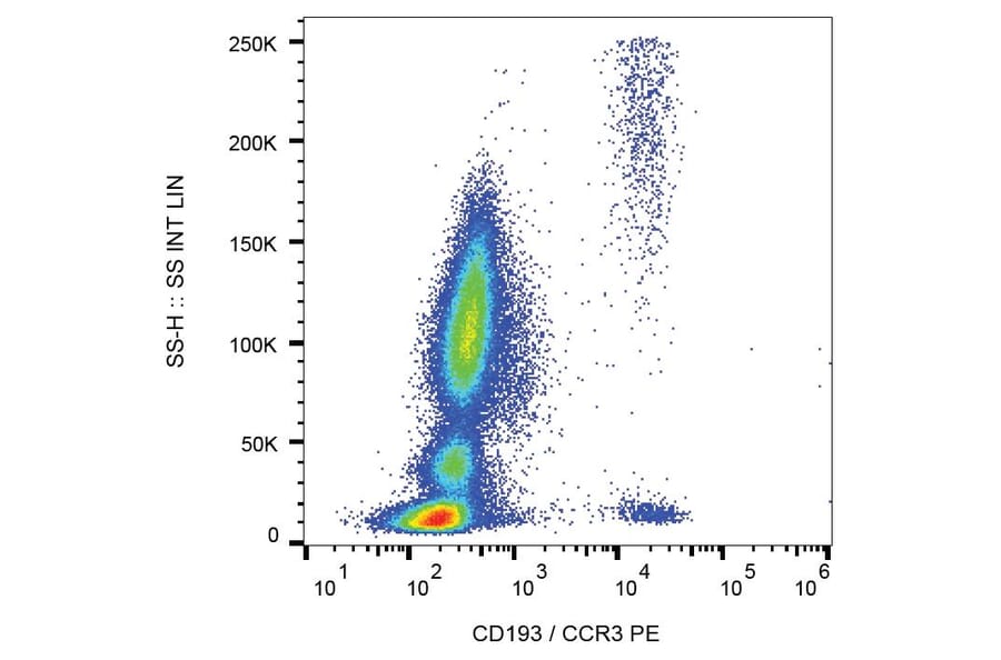 Flow Cytometry - Anti-CD193 Antibody [5E8] (PE) (A86558) - Antibodies.com