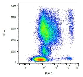 Flow Cytometry - Anti-CCR3 Antibody [5E8] (A86560)