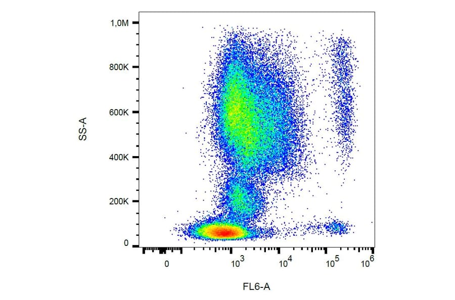 Flow Cytometry - Anti-CCR3 Antibody [5E8] (A86560)