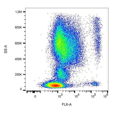 Flow Cytometry - Anti-CCR3 Antibody [5E8] (A86560)