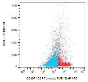 Flow Cytometry - Anti-CCR7 Antibody [4B12] (A86562)