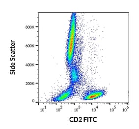 Flow Cytometry - Anti-CD2 Antibody [LT2] (FITC) (A86551) - Antibodies.com