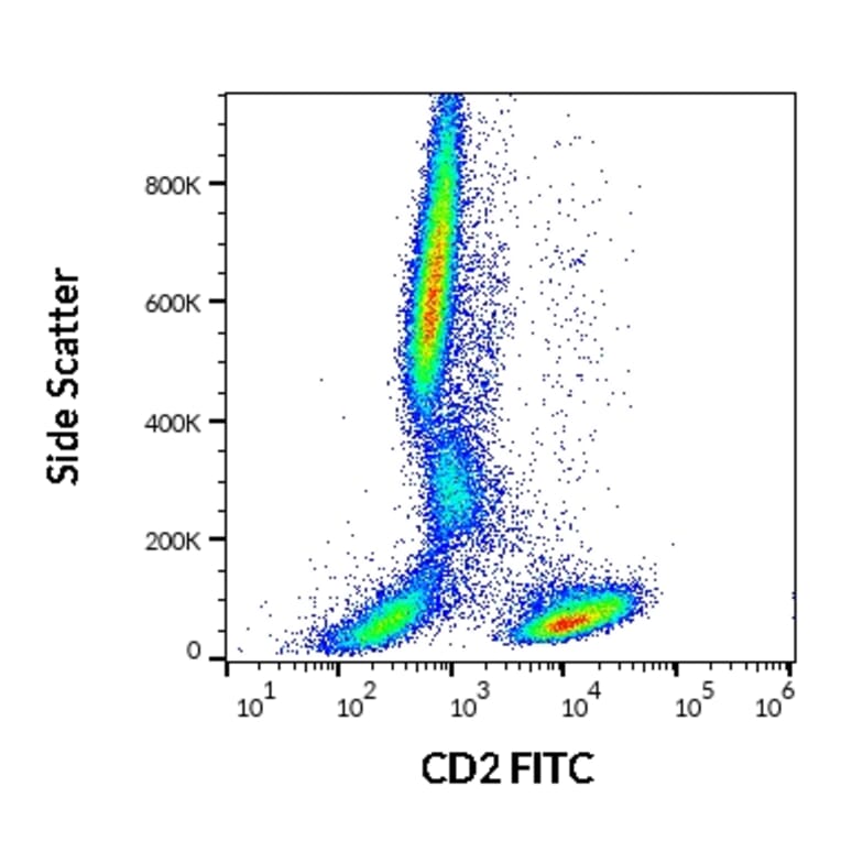 Flow Cytometry - Anti-CD2 Antibody [LT2] (FITC) (A86551) - Antibodies.com