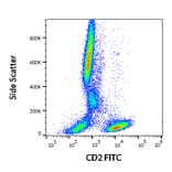 Flow Cytometry - Anti-CD2 Antibody [LT2] (FITC) (A86551) - Antibodies.com