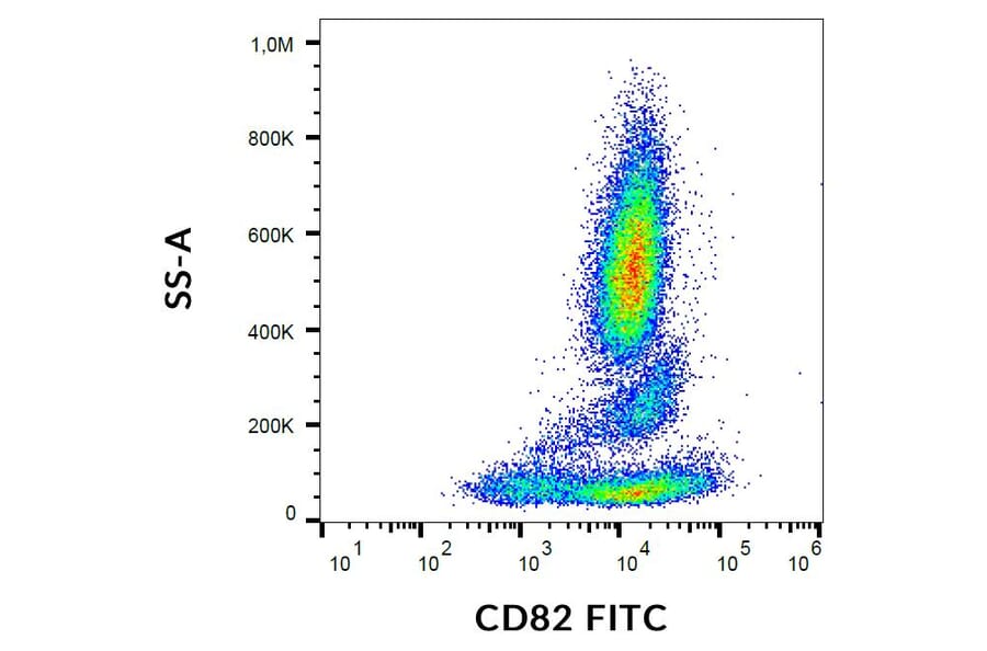 Flow Cytometry - Anti-CD82 Antibody [C33] (FITC) (A86567)