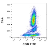 Flow Cytometry - Anti-CD82 Antibody [C33] (FITC) (A86567)