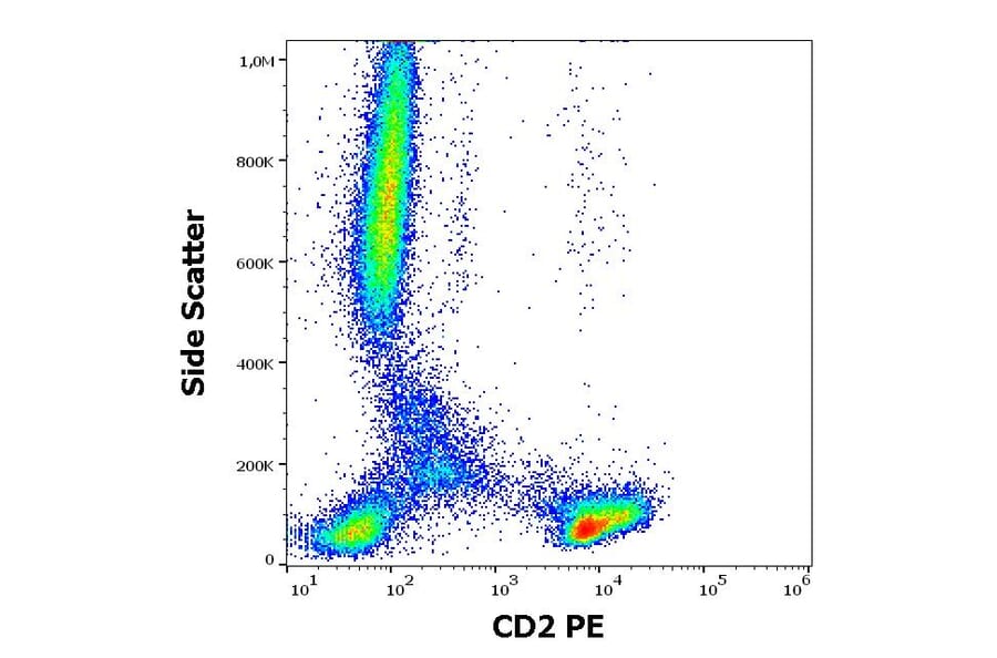 Flow Cytometry - Anti-CD2 Antibody [LT2] (PE) (A86568)