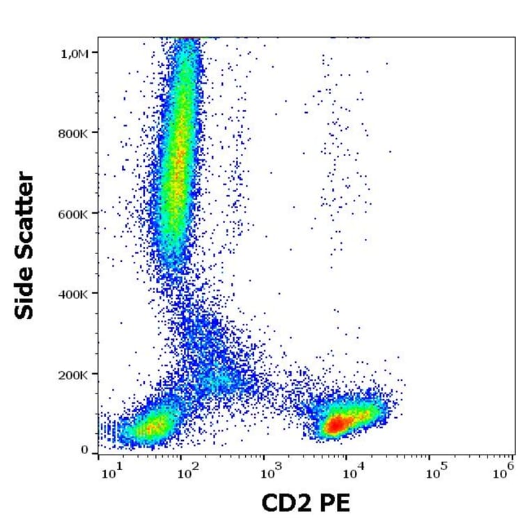 Flow Cytometry - Anti-CD2 Antibody [LT2] (PE) (A86568)