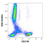 Flow Cytometry - Anti-CD2 Antibody [LT2] (PE) (A86568)