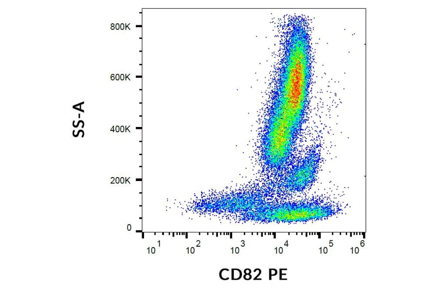 Flow Cytometry - Anti-CD82 Antibody [C33] (PE) (A86569)